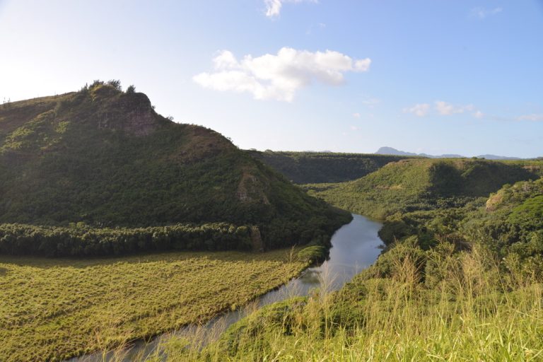 Hawaiian Trail3CE_1_105_c